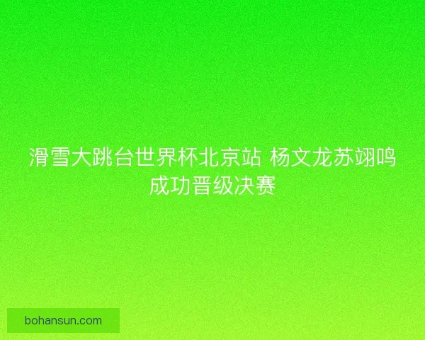 滑雪大跳台世界杯北京站 杨文龙苏翊鸣成功晋级决赛